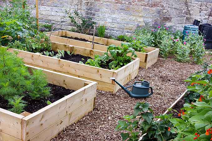 Comment bien arroser son jardin? - De la graine au jardin