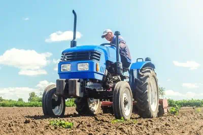 Cet agriculteur parvient à faire pousser des légumes sans une goutte d'eau