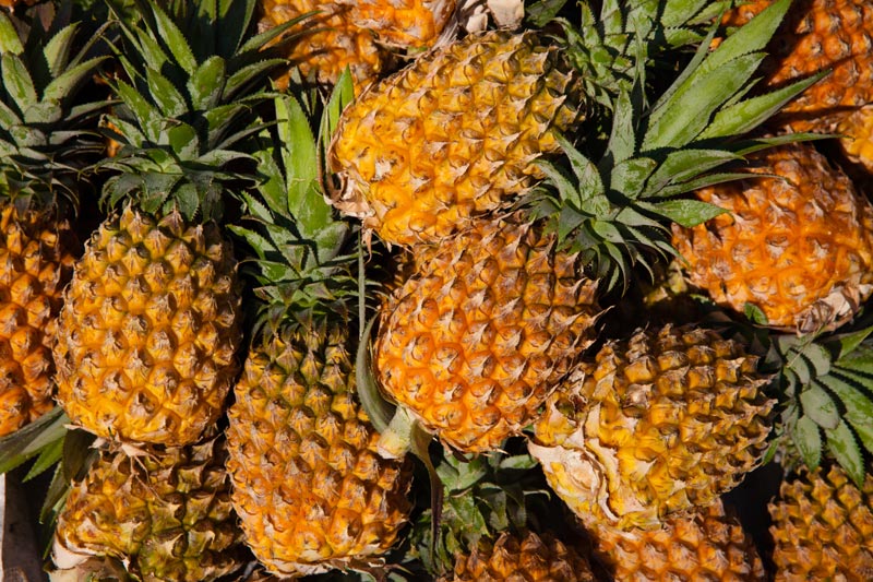 Ananas