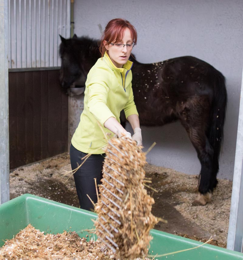 Femme nettoie une écurie.