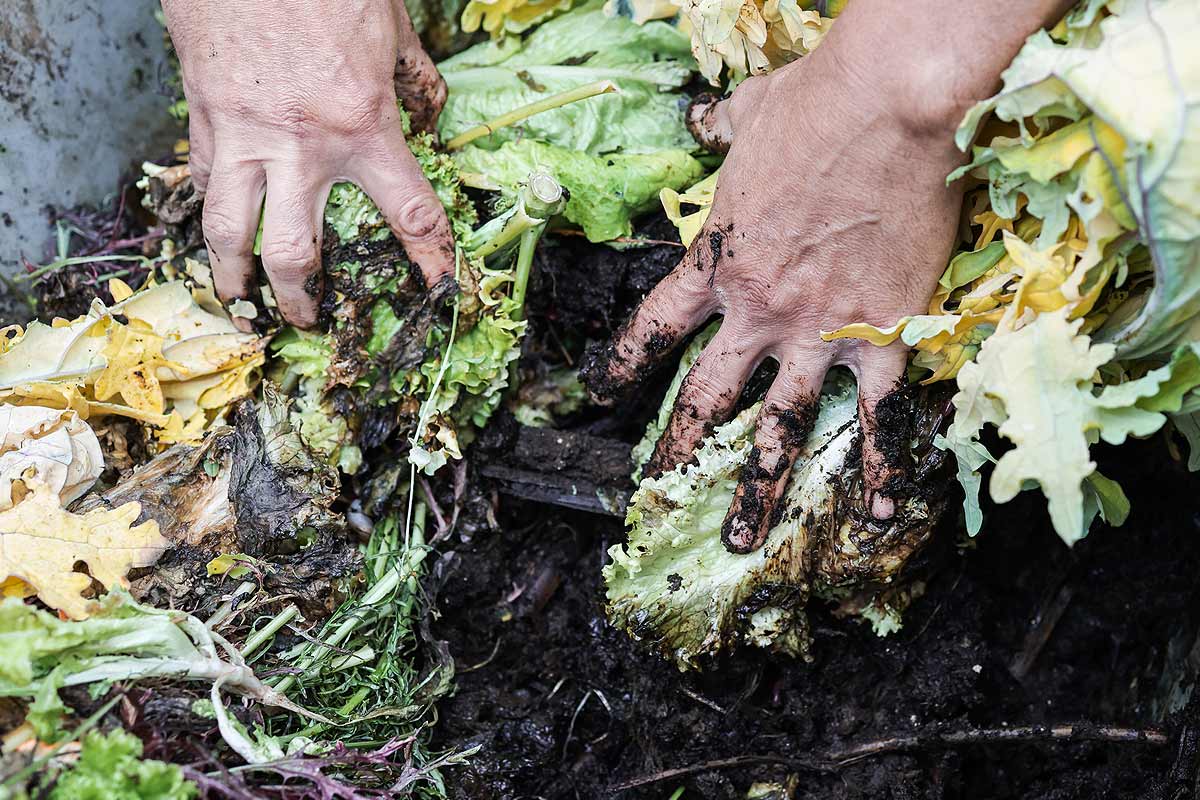 Définir la quantité de compost à épandre dans son potager.