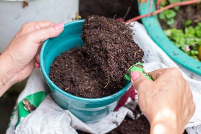 quantité de compost faut-il ajouter pour fertiliser