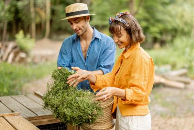 accélérateurs de compost méconnus