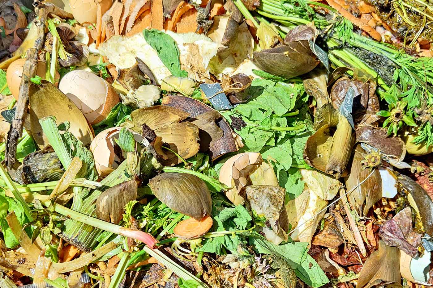 Gros plan sur le compost du potager.