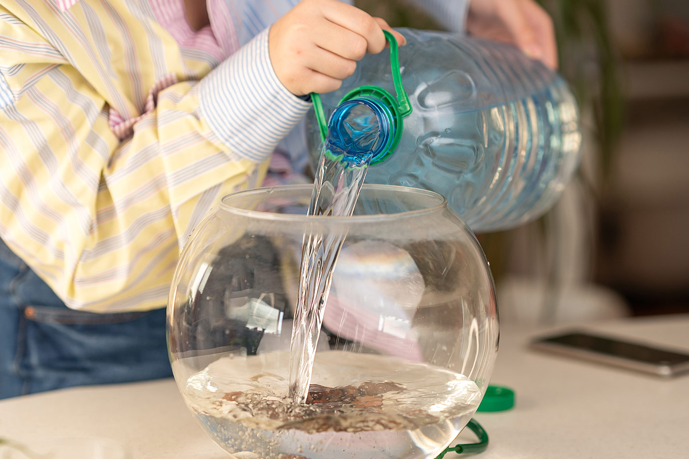 Changement d'eau dans l'aquarium.