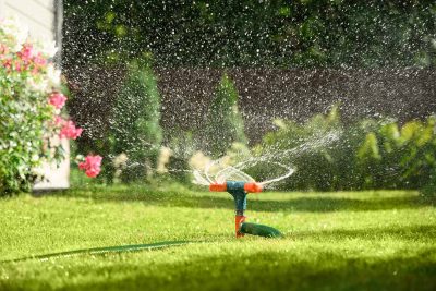 Voici la meilleure heure pour arroser et sauver votre jardin pendant la canicule