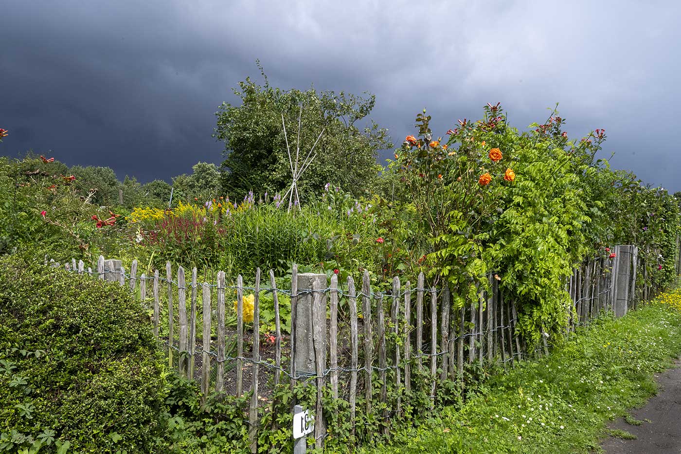 Jardin potager en proie à des orages violents.