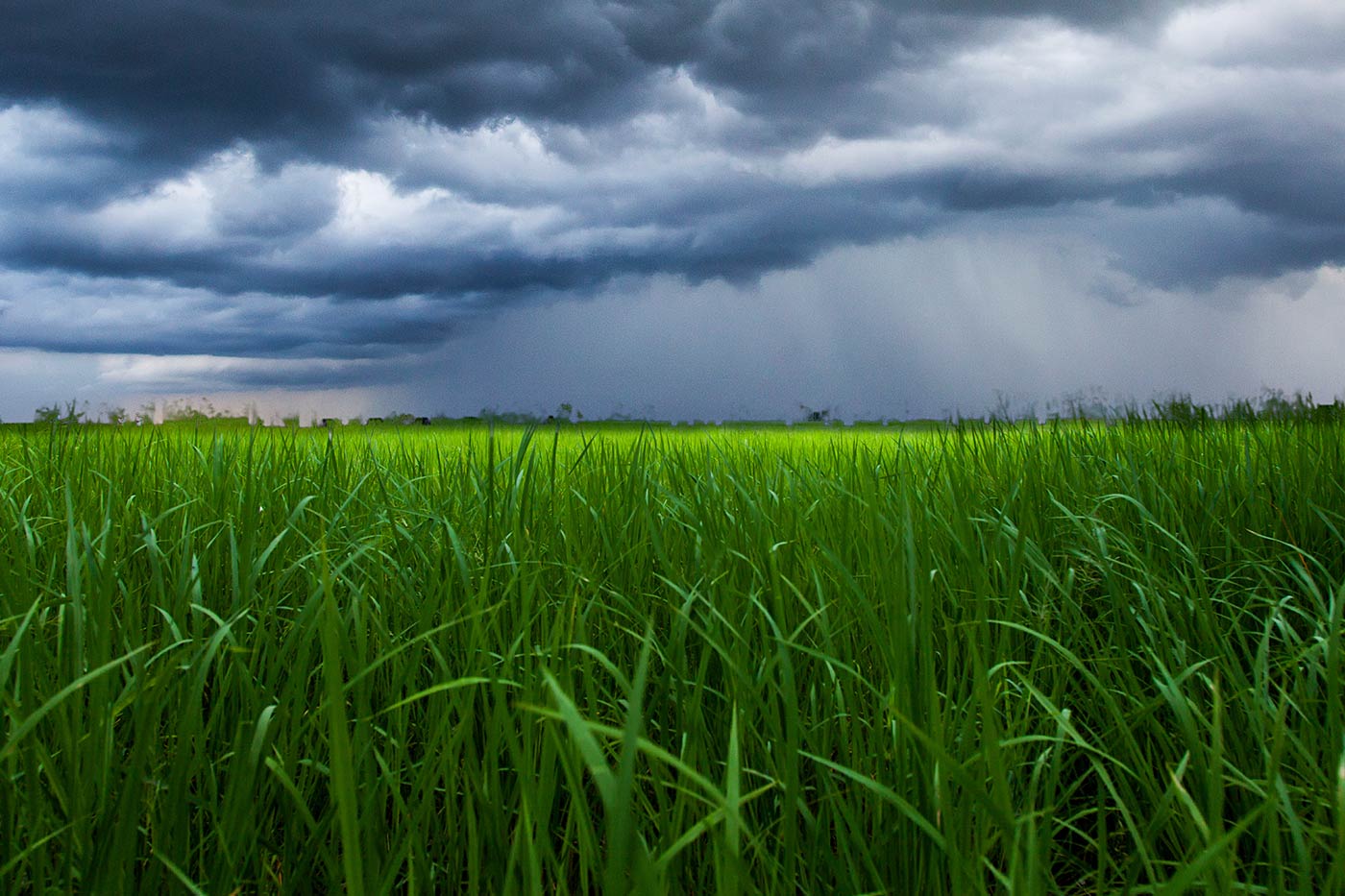 Orages violents à proximité du jardin.