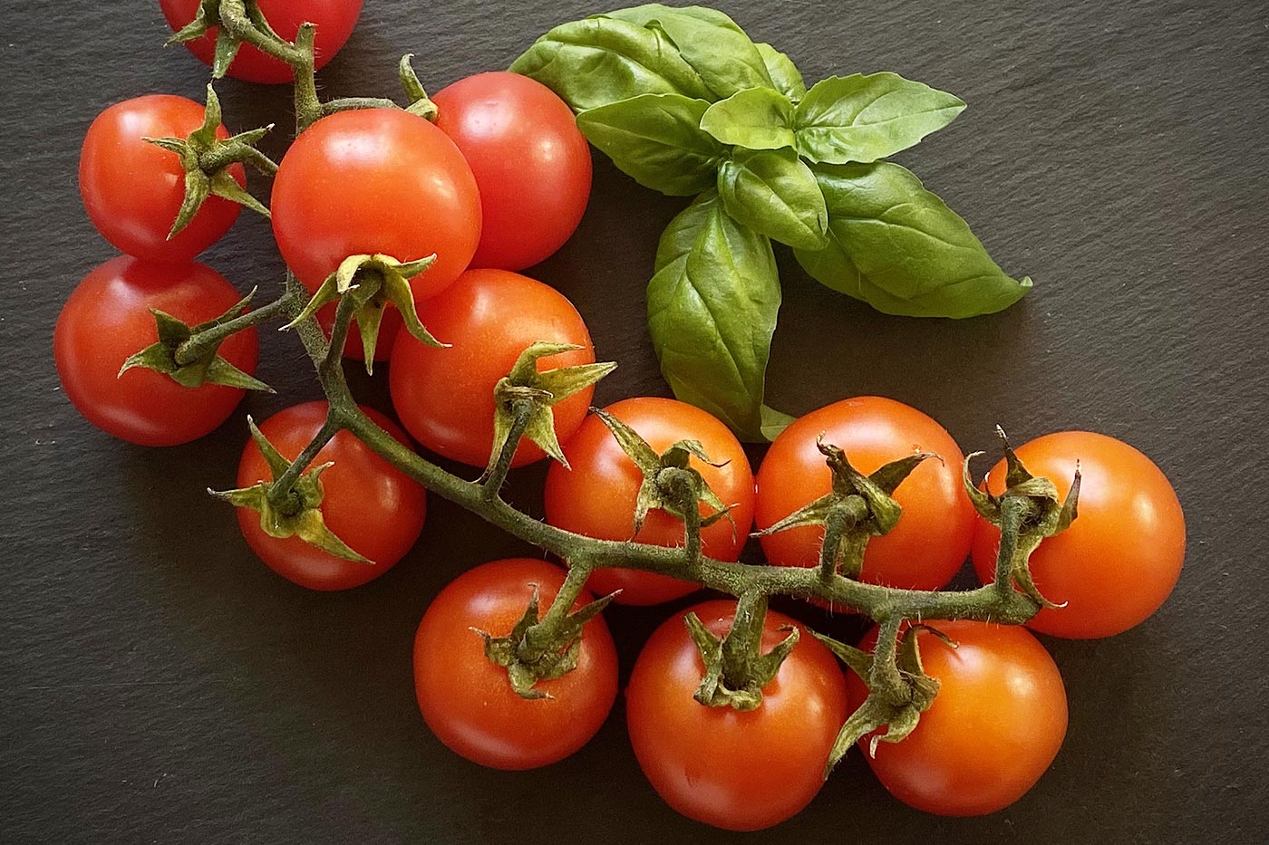 Tomate et basilic