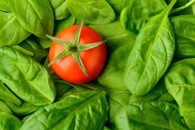 Tomate et basilic : le duo parfait qui fait vibrer vos papilles et votre jardin