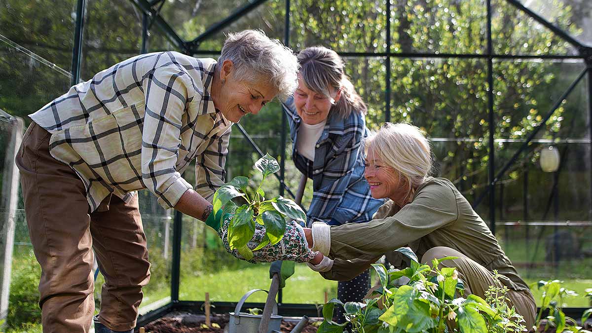 Entretien des plantes dans une serre de jardin entre amies.