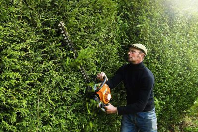 Planter une haie gratuitement