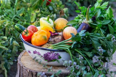 7 combinaisons de légumes qui détruisent votre potager